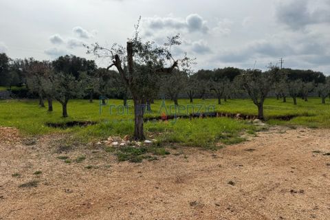Villa i Ostuni, Brindisi, Ostuni - € 735.000 | Ref: 172862 - foto 11